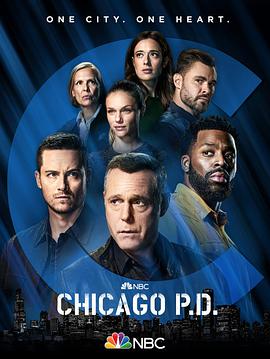 芝加哥警署第九季 第13集