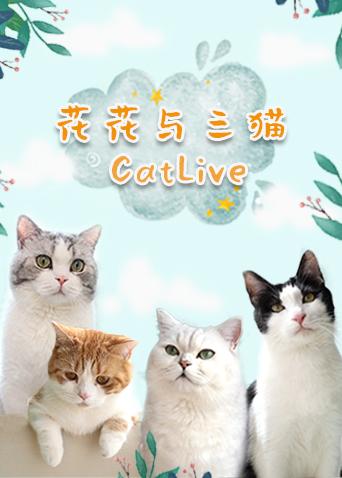 花花与三猫catlive 20200105期