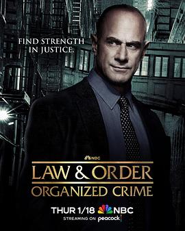 法律与秩序：组织犯罪第四季 第03集